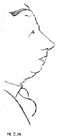 Caricature of NSN